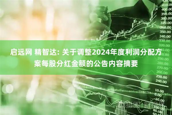 启远网 精智达: 关于调整2024年度利润分配方案每股分红金额的公告内容摘要