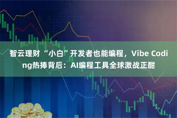 智云理财 “小白”开发者也能编程，Vibe Coding热捧背后：AI编程工具全球激战正酣